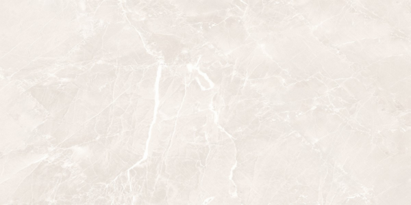 dc 300001110 1k t81a 60X120 GRIGIO WHITE FULL LAPPATO
